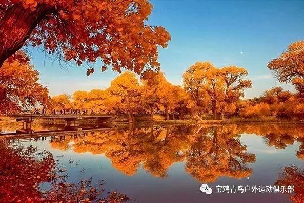 上饶：齐心共治 推动打击治理电诈工作
