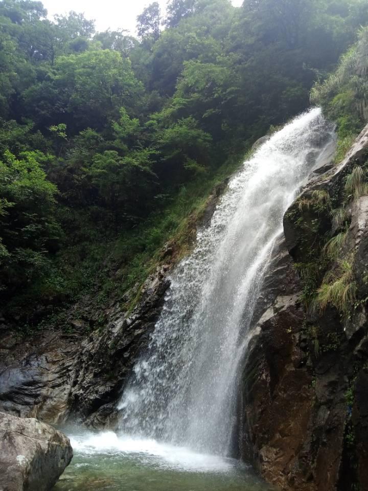 不当网红当长红，沈阳文旅局局长现场发挥，凸显格局和情怀